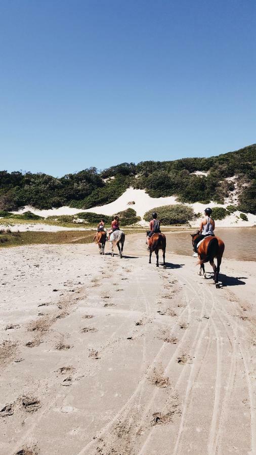 Buccaneers Beach Lodge, Chintsa, South Africa Dış mekan fotoğraf